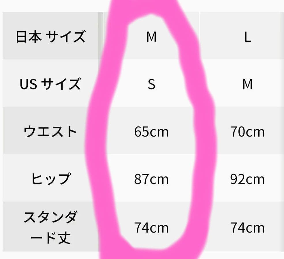 【美品】Wunder Train ハイライズタイツ 25インチ アジアフィット