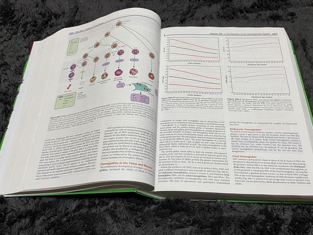 TEXTBOOK Of PEDIATRICS 20 EDITION 2冊セット