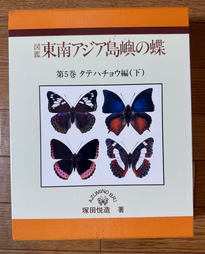 東南アジア島嶼の蝶 第5巻 タテハチョウ編(下)