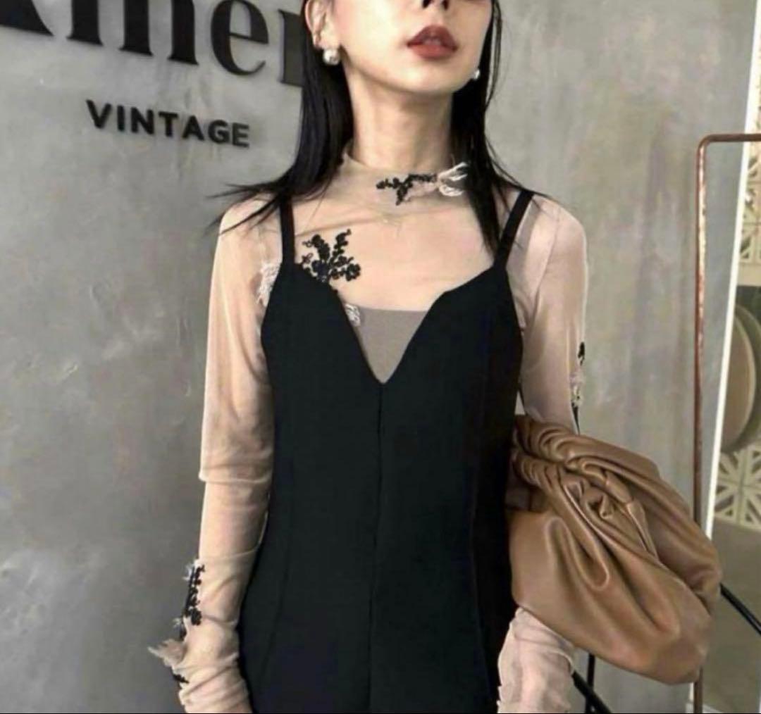 AMERI シアートップス　スキントップス　刺繍入りシースルータートルネック