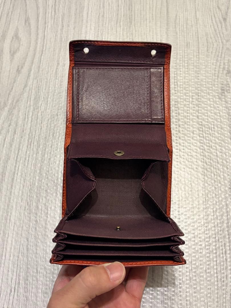 エムピウ(m+) ミッレフォッリエⅡ P25