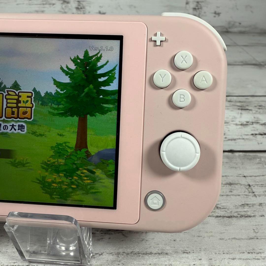 Nintendo Switch Lite カスタム品 eXtremeRate
