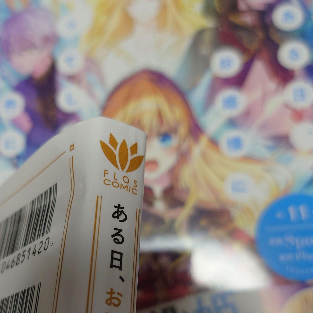 ある日、お姫様になってしまった件について 1〜12巻セット