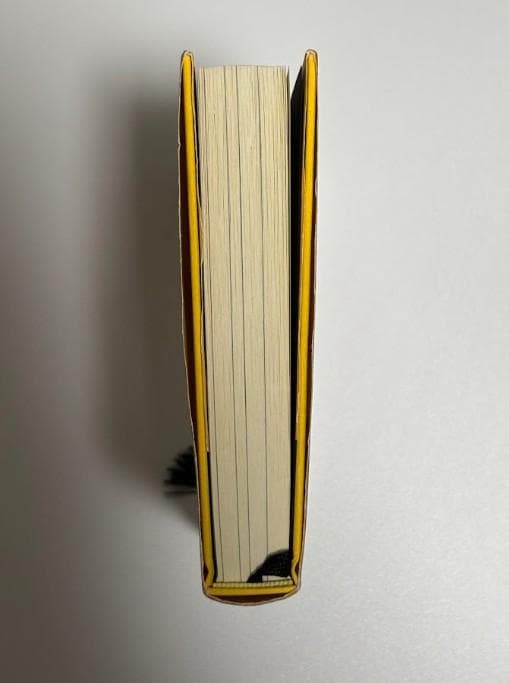 願望実現の法則 : リアリティ・トランサーフィン2 : 魂の快/不快の選択