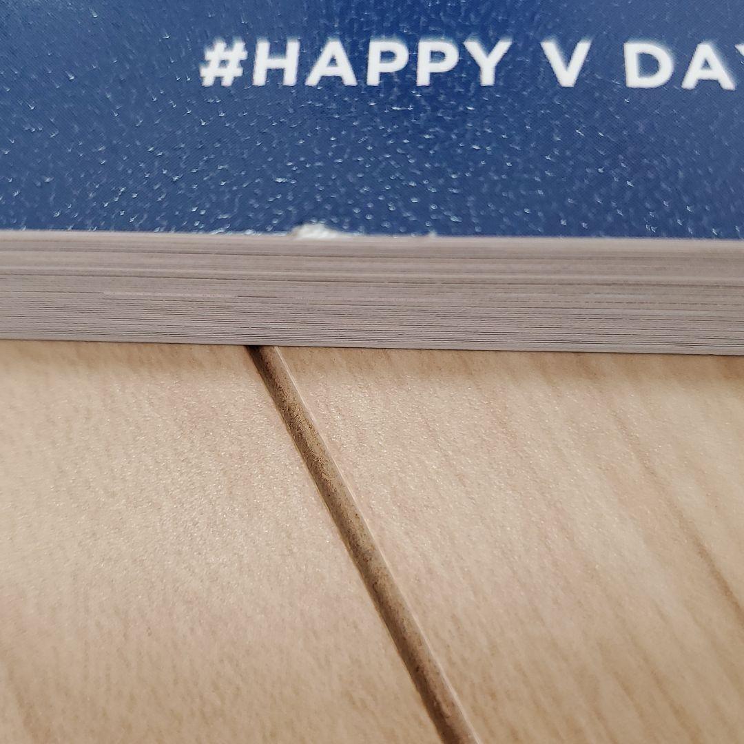 BTS V テテ　マスターさん写真集　グッズ