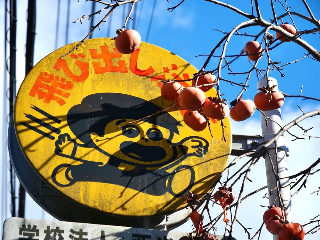 レンズ(ズーム) LEICA DG VARIO-ELMARIT 12-60mmF2.8-4.0