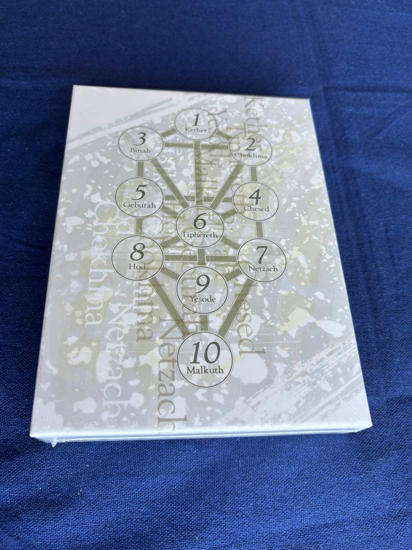 真・女神転生 DEEP STRANGE JOURNEY 25周年記念 一部未開封