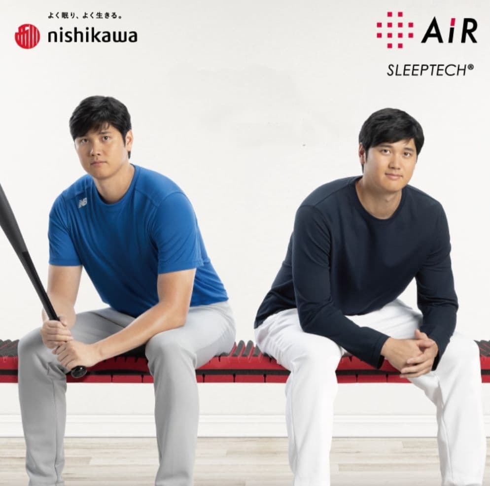 新品未使用 nishikawa 西川 エアーポータブルクッション