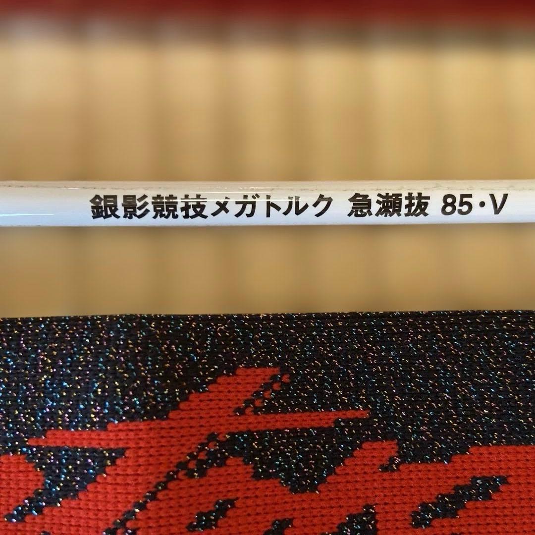 ピッチョリーニ ダイワ　銀影競技メガトルク　急瀬抜　85-V