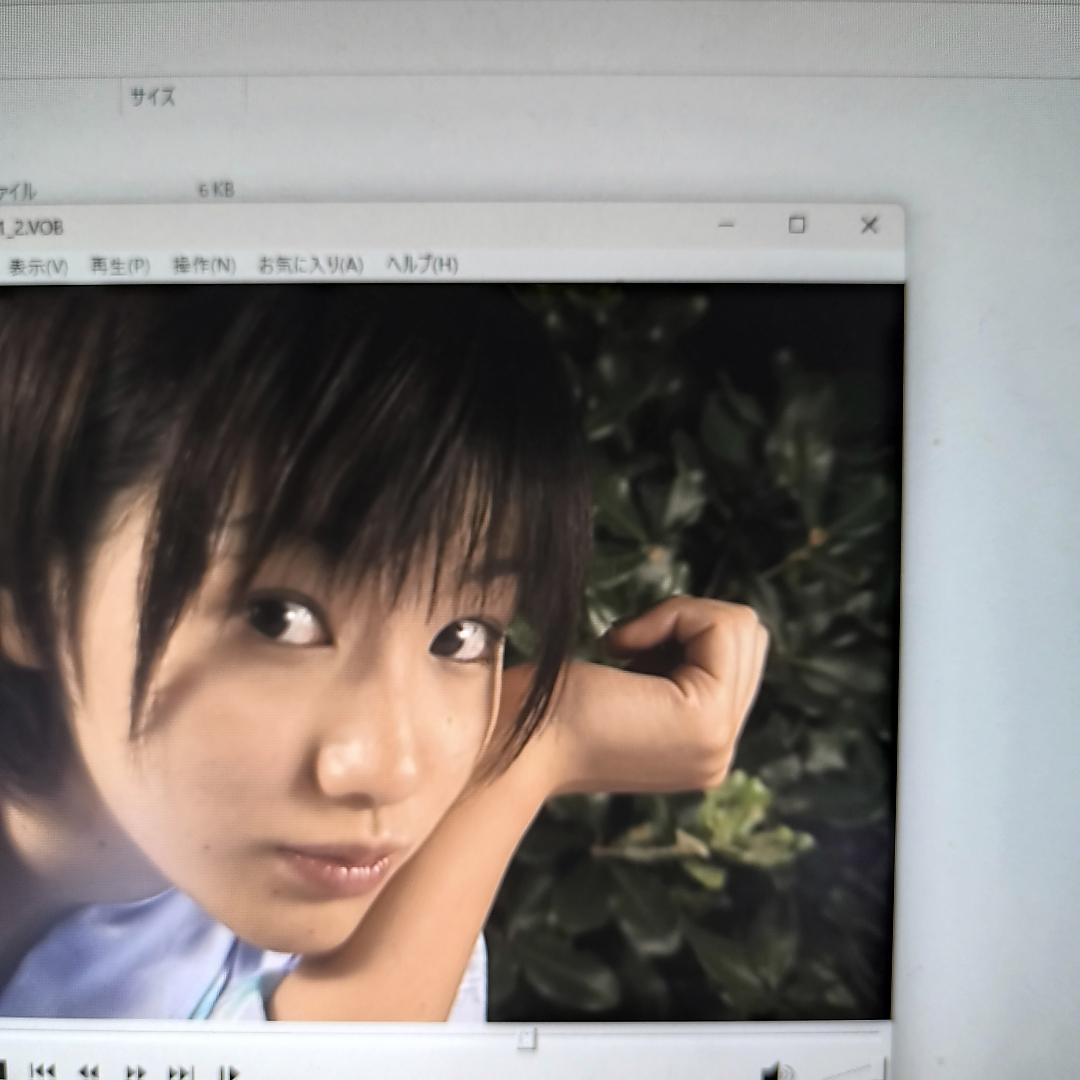 パズルアクション　眞鍋かをり グラビアコレクション. セイブ開発　ディスクのみ