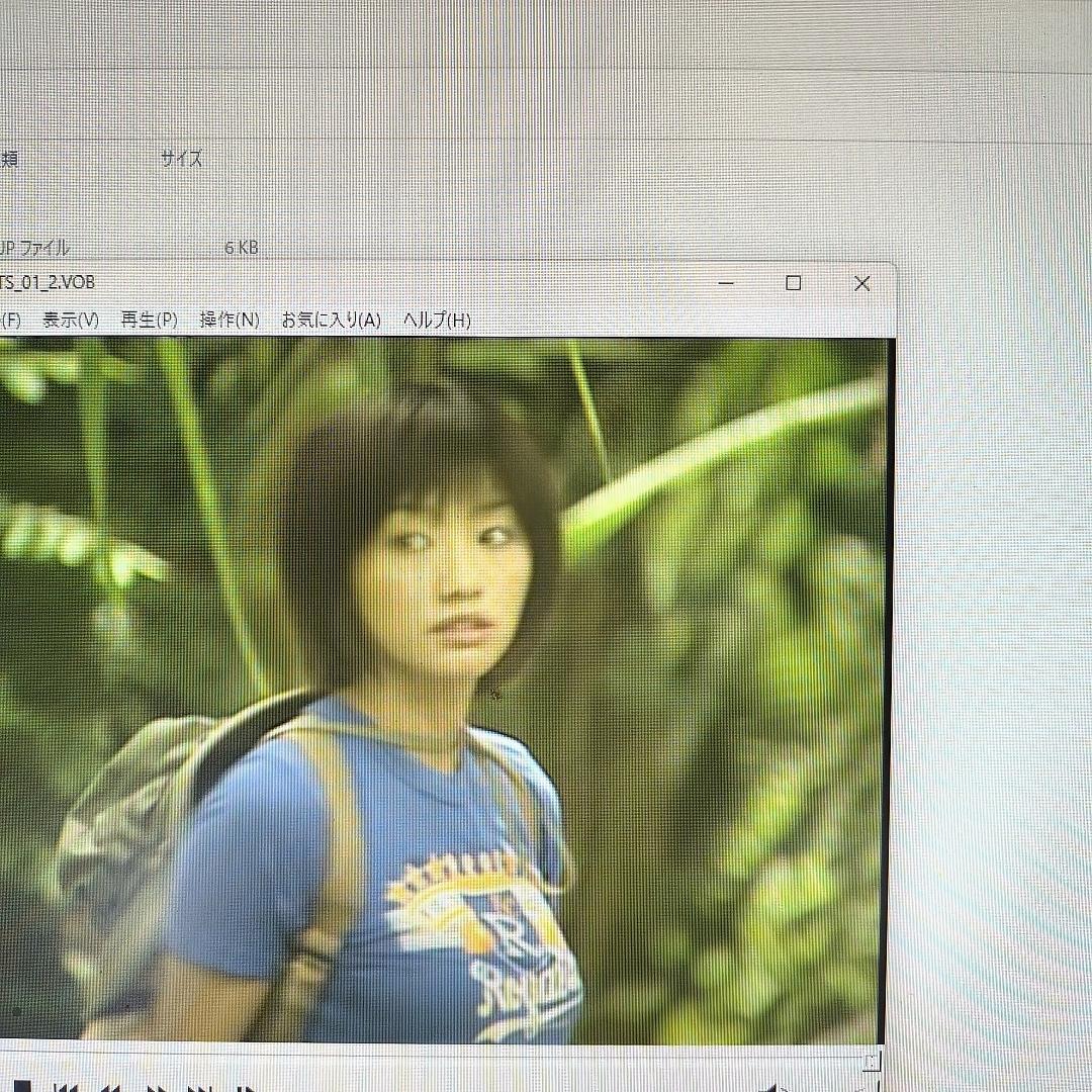 パズルアクション　眞鍋かをり グラビアコレクション. セイブ開発　ディスクのみ