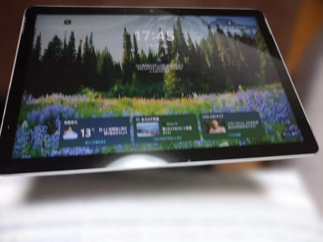 Microsoft Surface Go 2 (LTEモデル)本体+充電器