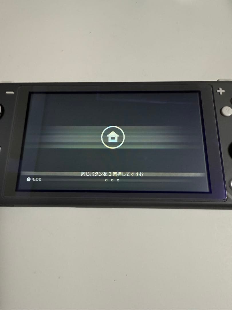 【ジャンク品】Nintendo Switch Lite グレー 本体 充電器付き