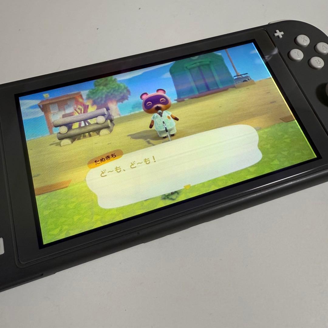 【ジャンク品】Nintendo Switch Lite グレー 本体 充電器付き