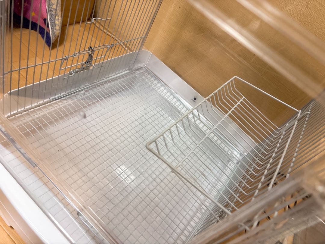 イージーホームクリアモモンガ40