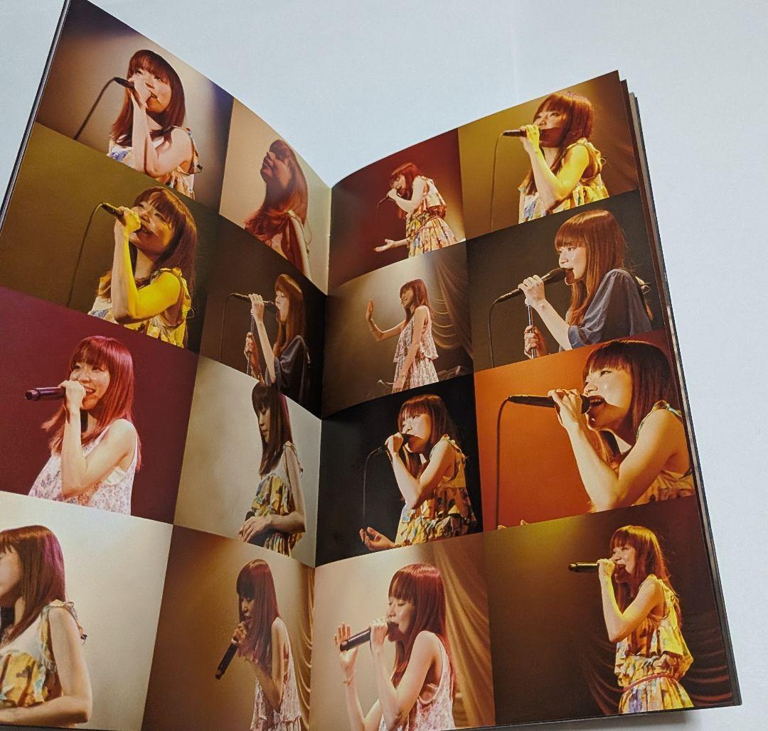 川嶋あい デビュー10周年記念ライブ I WiSH[2枚組]DVD レア