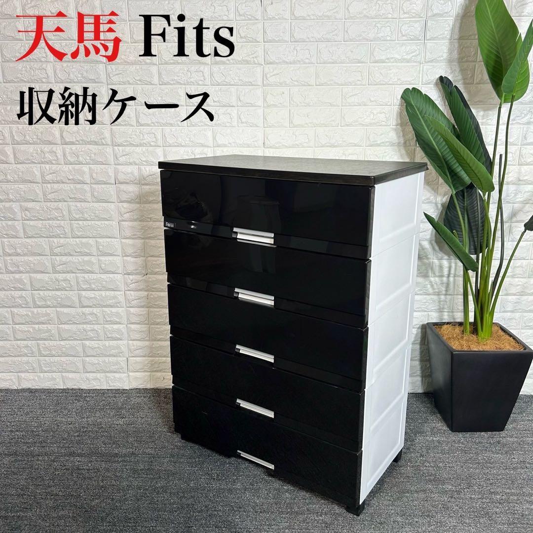 天馬 Fits 収納ケース 5段 チェスト 収納 家具 インテリア L076