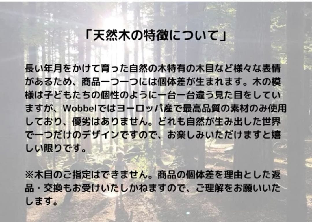 美品　Wobbel バランスボード