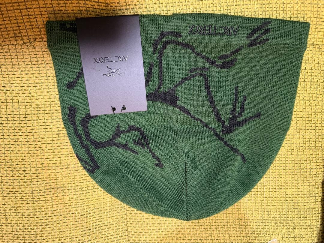 ARC'TERYX Bird Head Toque 緑色