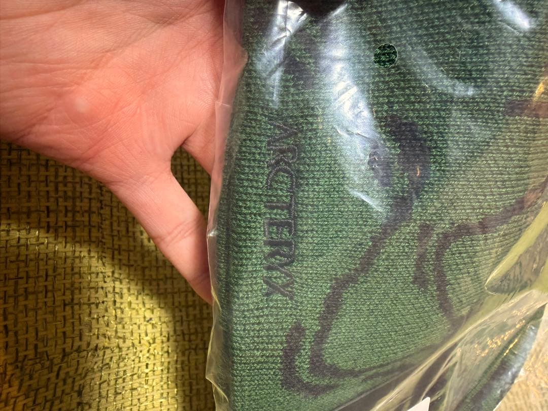 ARC'TERYX Bird Head Toque 緑色