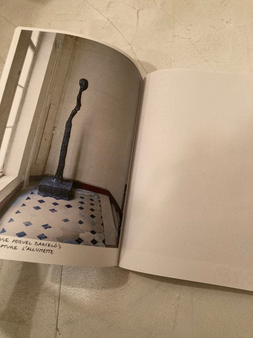 写真集Francois Halard フランソワ・アラール