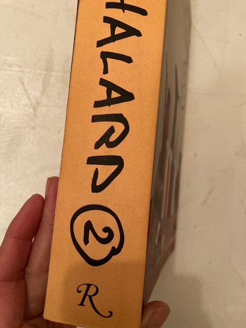 写真集Francois Halard フランソワ・アラール