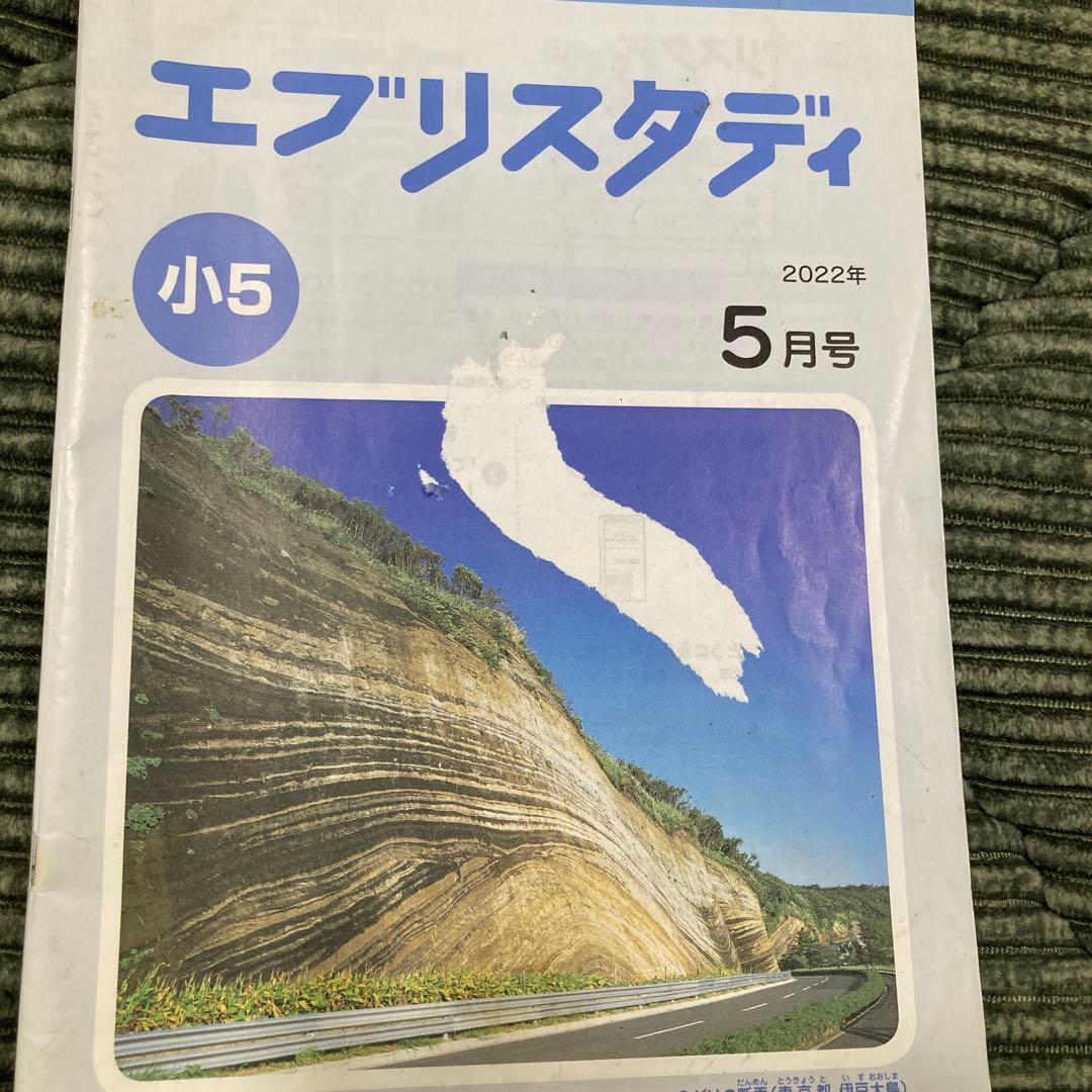 小学5年　Z会エブリスタディ 1年分