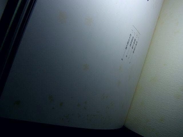 器と料理 21冊（蒔絵 漆器 京焼 和食器 金襴手 洋食器 ガラス器　ゆうパック