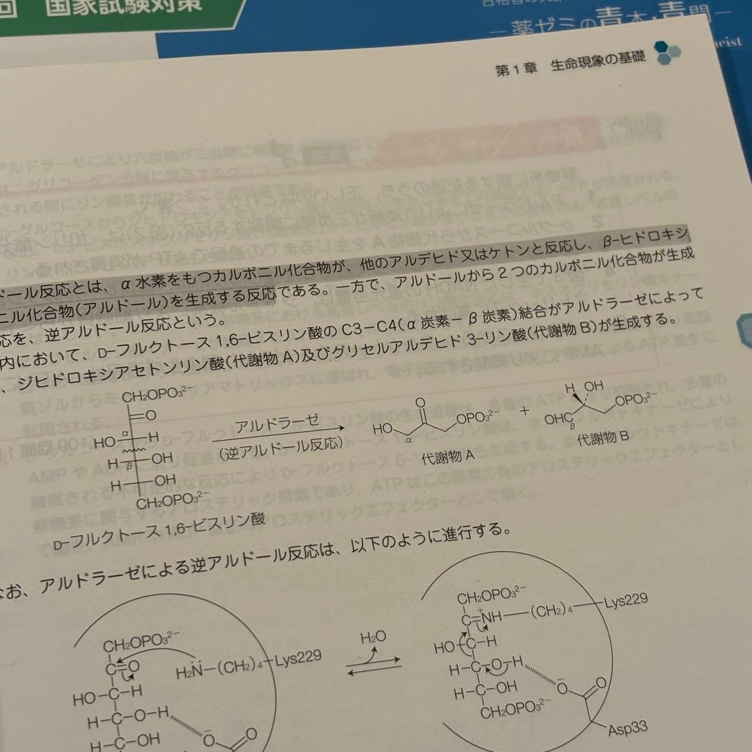 第111回 薬剤師国家試験対策参考書 改定第15版 青問 9冊セット