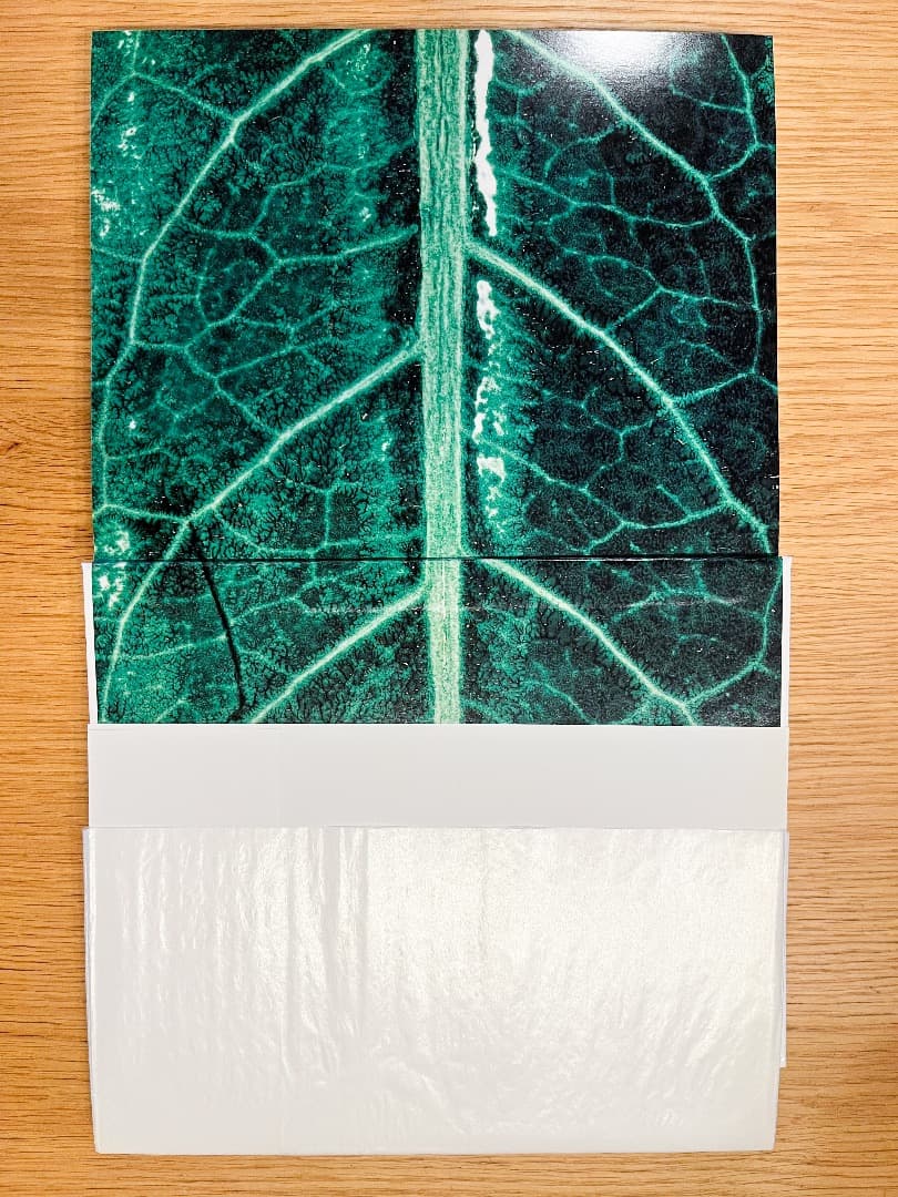 【初版・美品】井上嗣也の仕事 1981-2007