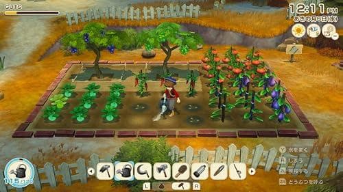 牧場物語 Let's! 風のグランドバザール Nintendo Swit☆★☆彡