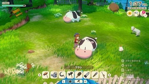 牧場物語 Let's! 風のグランドバザール Nintendo Swit☆★☆彡