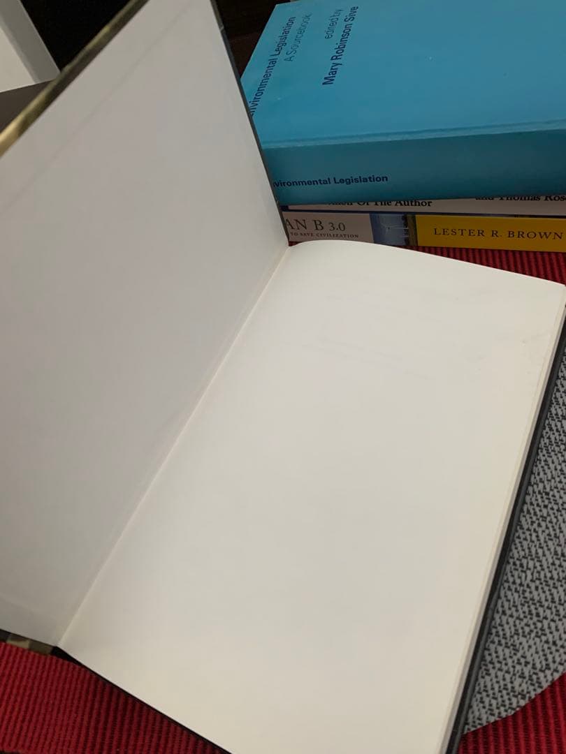 希少　Representing Convicts