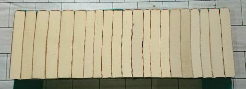 【まとめ】矢月秀作「もぐら」全巻 +「リンクス」全巻 +「D1」２１冊セット