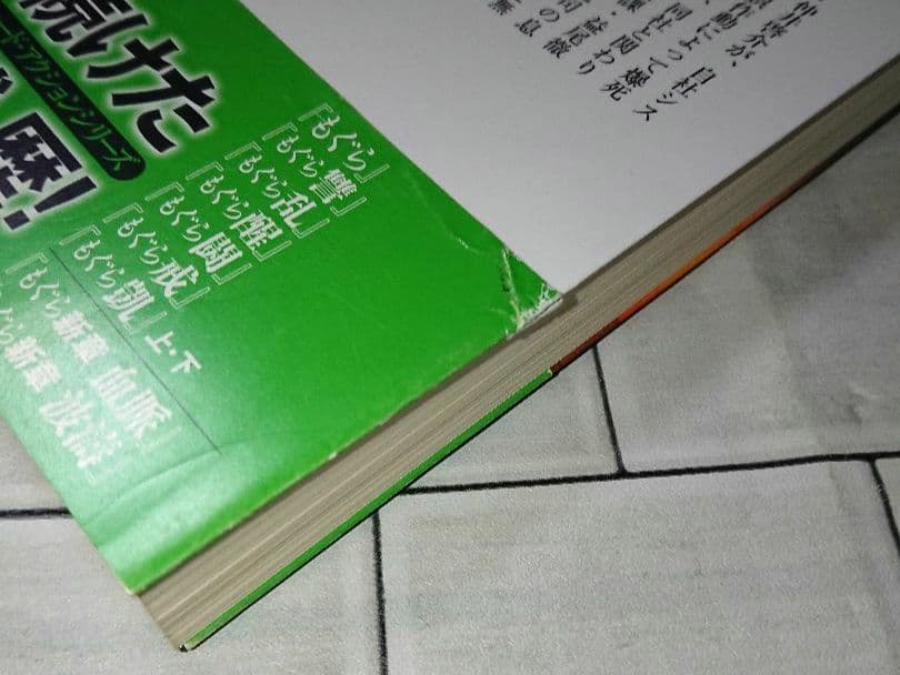 【まとめ】矢月秀作「もぐら」全巻 +「リンクス」全巻 +「D1」２１冊セット