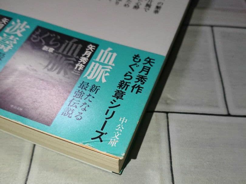 【まとめ】矢月秀作「もぐら」全巻 +「リンクス」全巻 +「D1」２１冊セット
