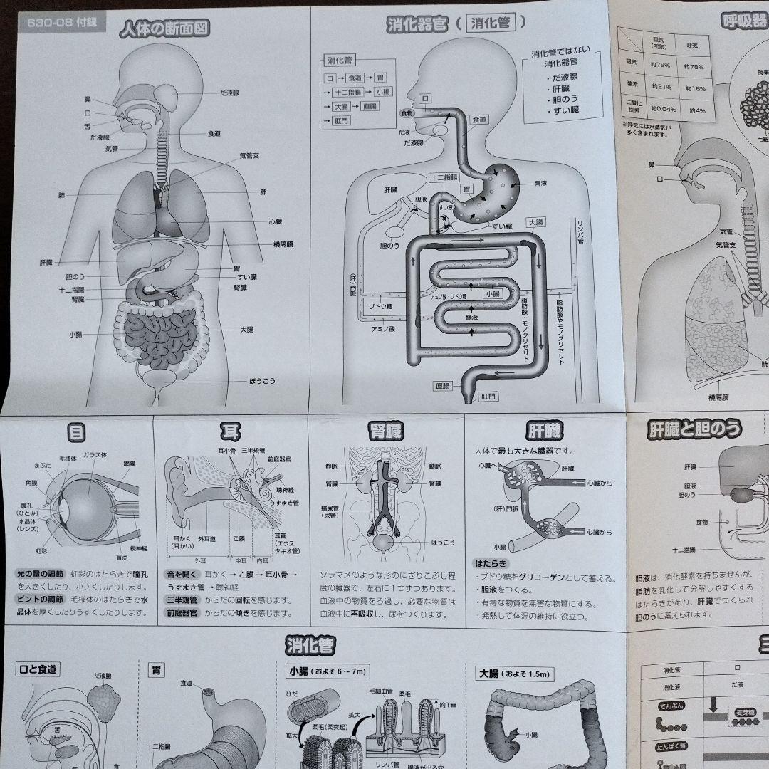 SAPIX 6年　理科デイリーサピックス