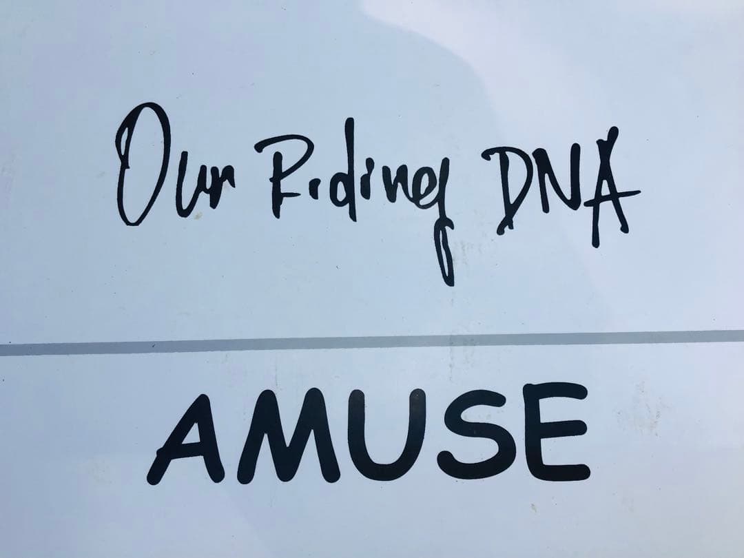 ◉スリーウェザー AMUSE 全長243cm〓8ft ハードケースつき 極上美品