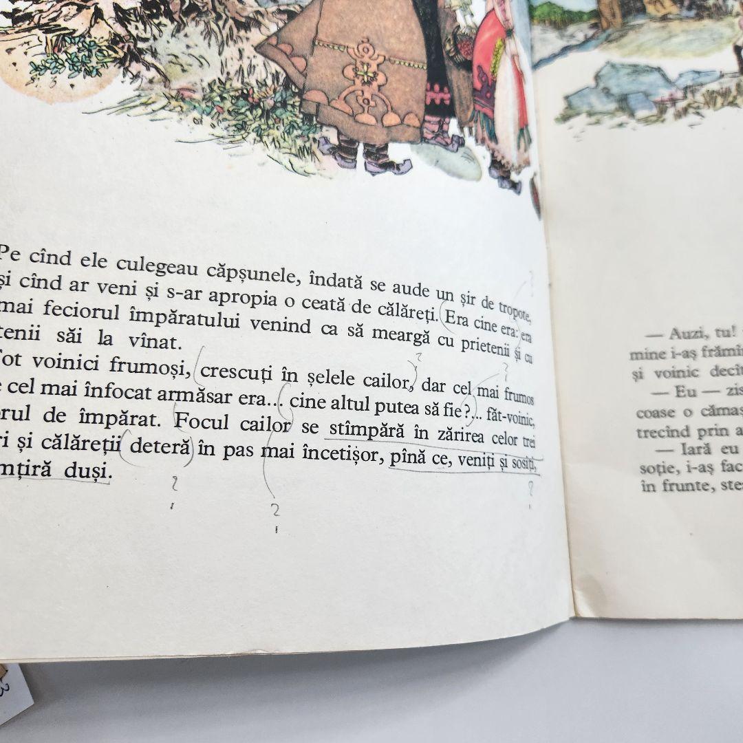 Ioan Slavici Doi Feţi Cu Stea În Frunte