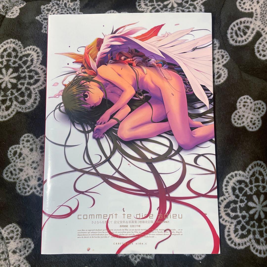 さよならを教えて　設定資料集