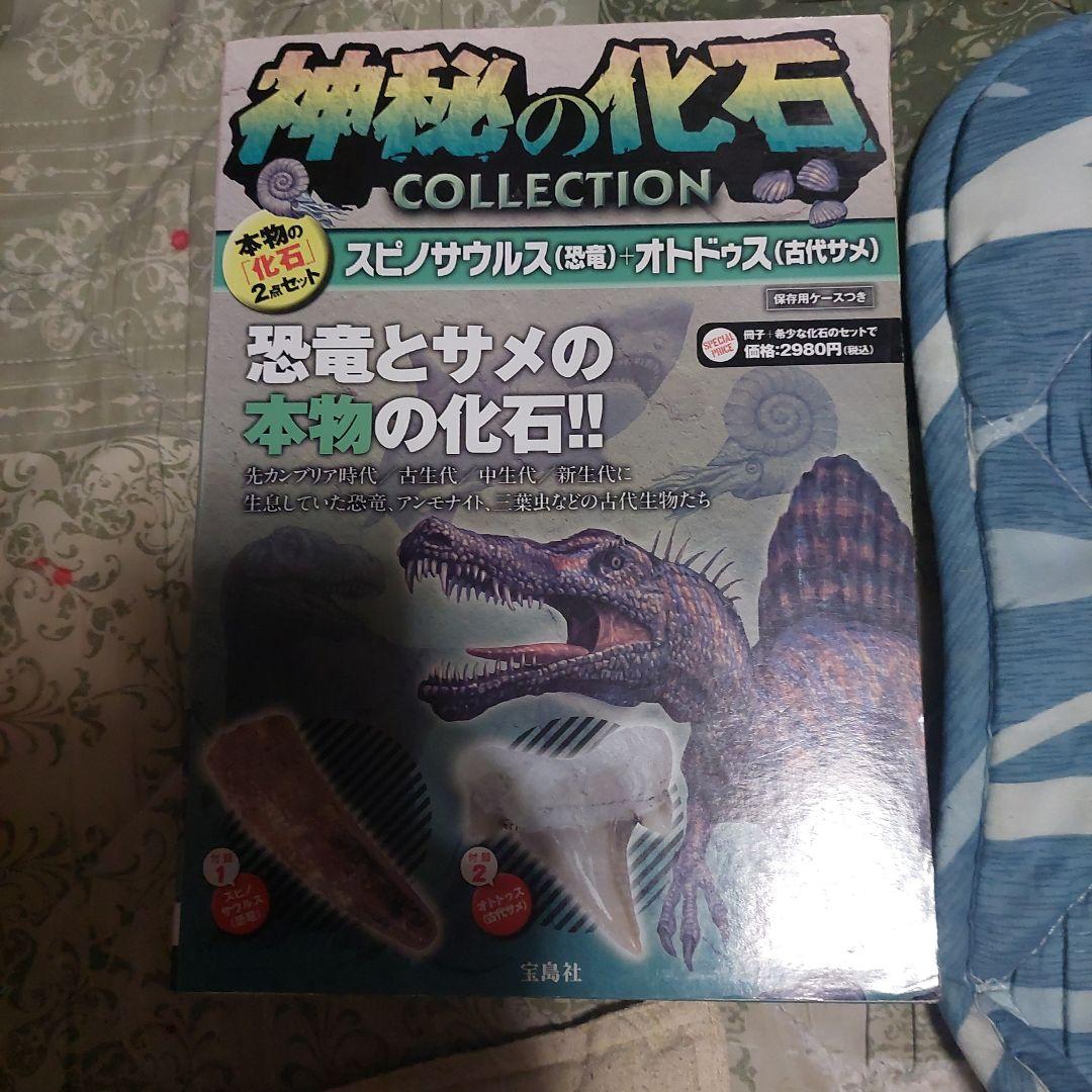 神秘の化石COLLECTION スピノサウルス＆オトドゥス