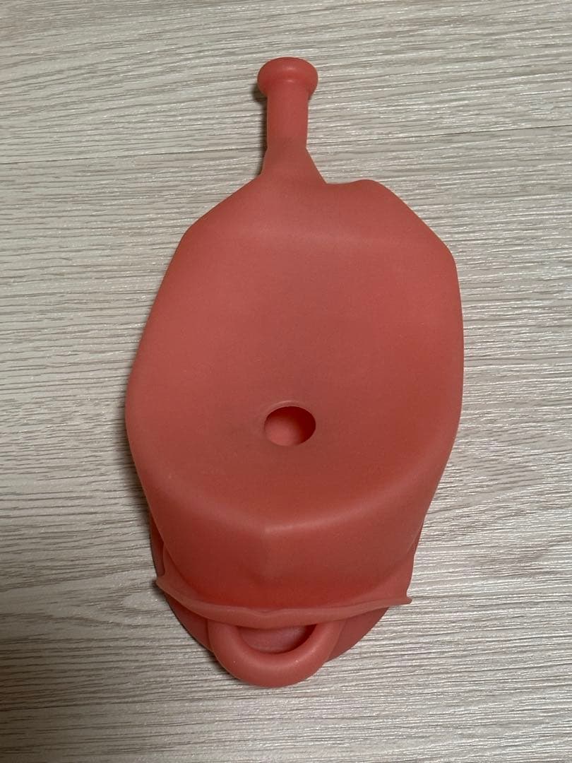 ニッシン 顎模型セット 歯科衛生士