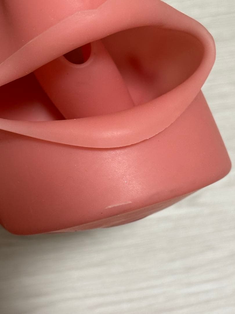 ニッシン 顎模型セット 歯科衛生士