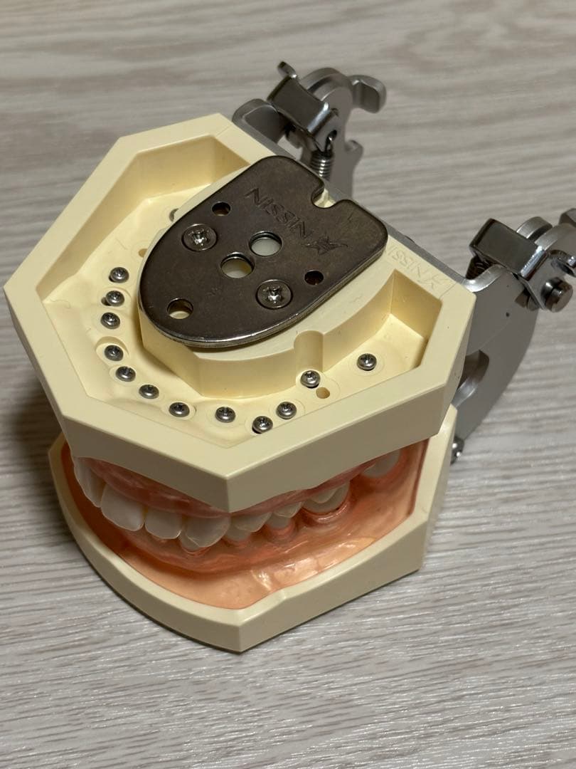 ニッシン 顎模型セット 歯科衛生士