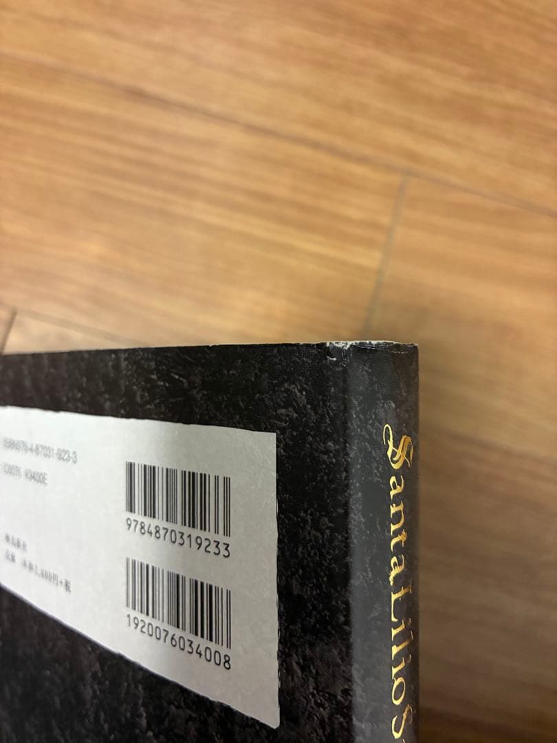 Santa Lilio Sangre緋いユリ : 小島文美画集