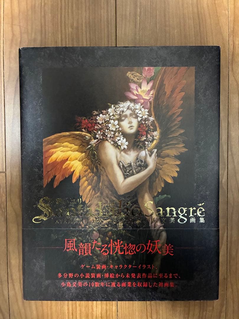 Santa Lilio Sangre緋いユリ : 小島文美画集