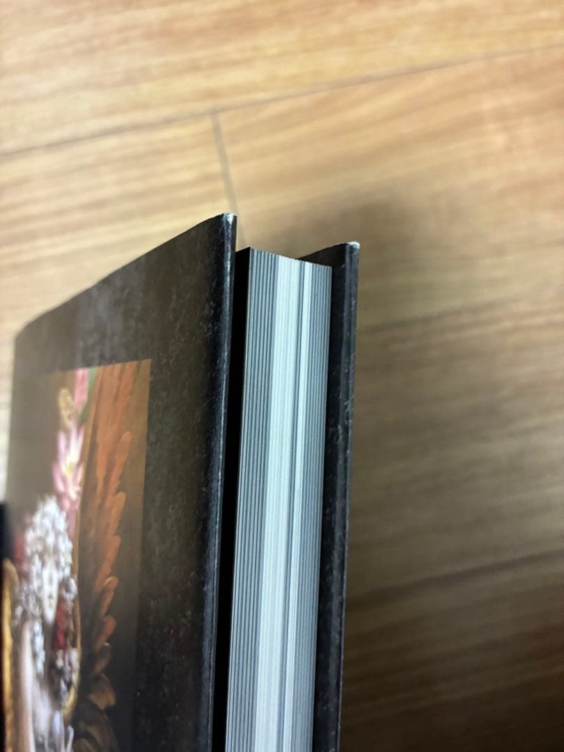 Santa Lilio Sangre緋いユリ : 小島文美画集