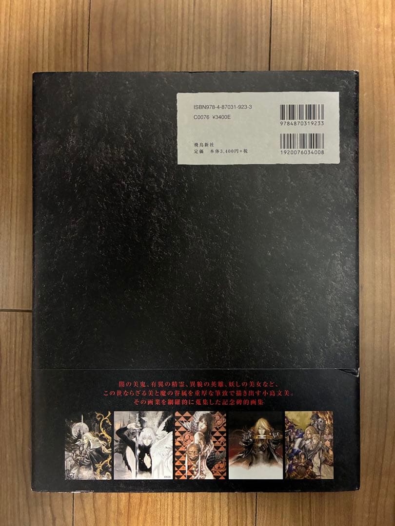 Santa Lilio Sangre緋いユリ : 小島文美画集