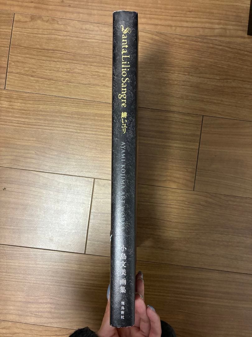 Santa Lilio Sangre緋いユリ : 小島文美画集