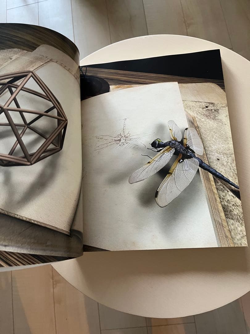 Leonardo’s Machines★書籍★スペインで購入 洋書